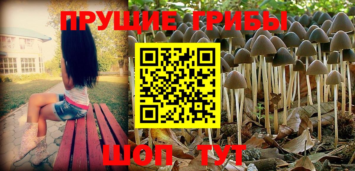 Псилоцибиновые грибы мухоморы  купить наркотик  Лабытнанги  Вход с VPN 